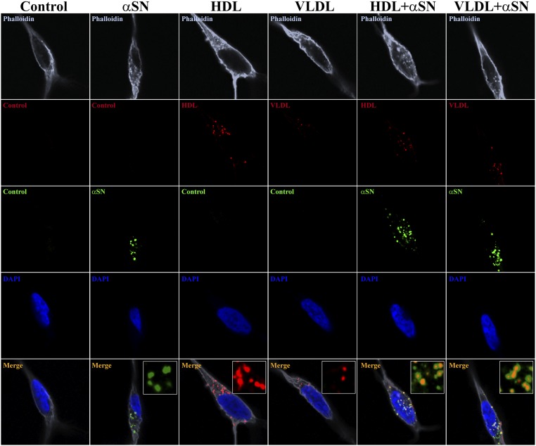 Fig. 4.