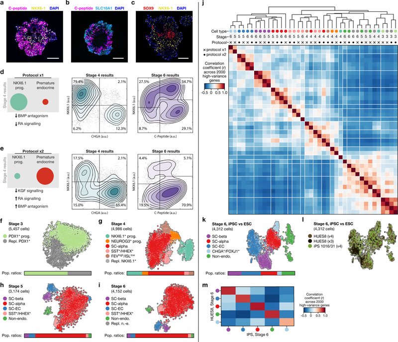 Extended Data Fig. 1 |