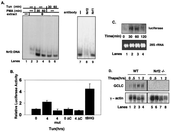 FIG. 1.