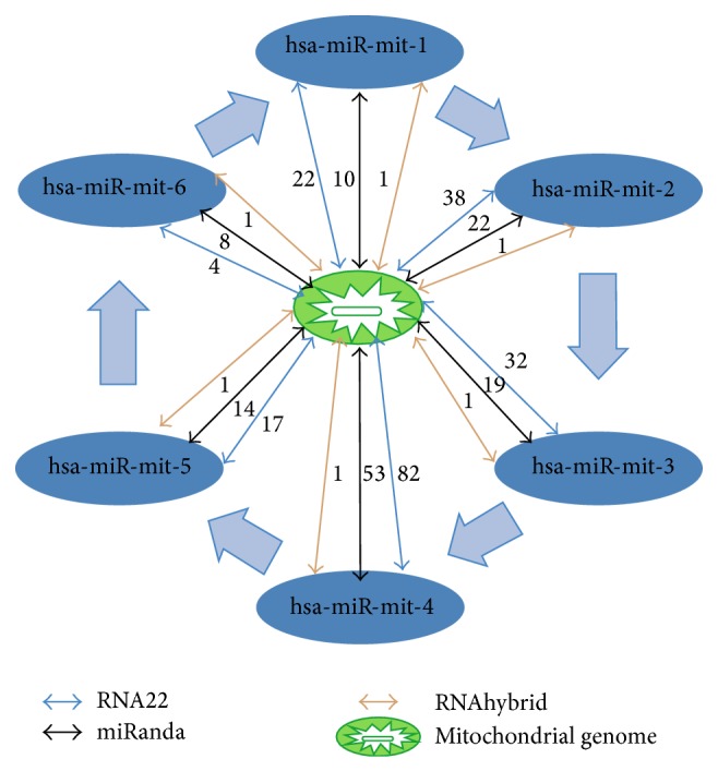 Figure 12