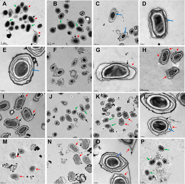 FIG 2