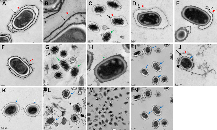 FIG 1