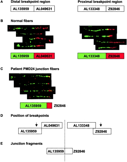 Figure  3