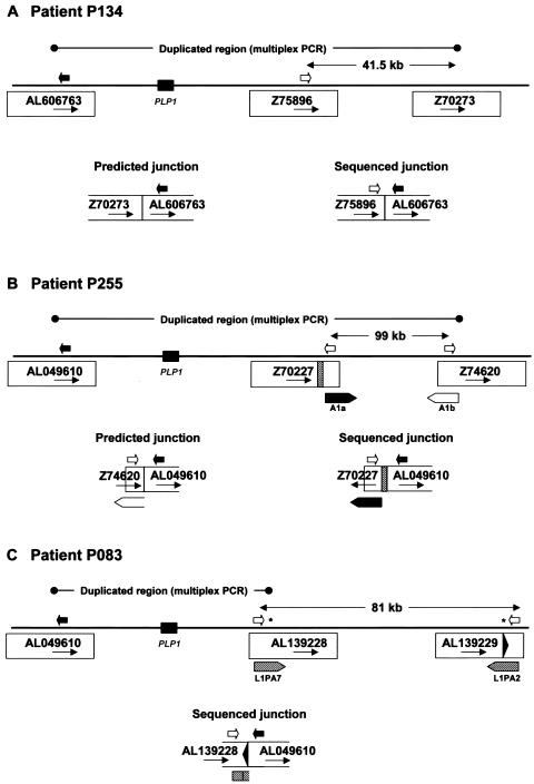 Figure  6