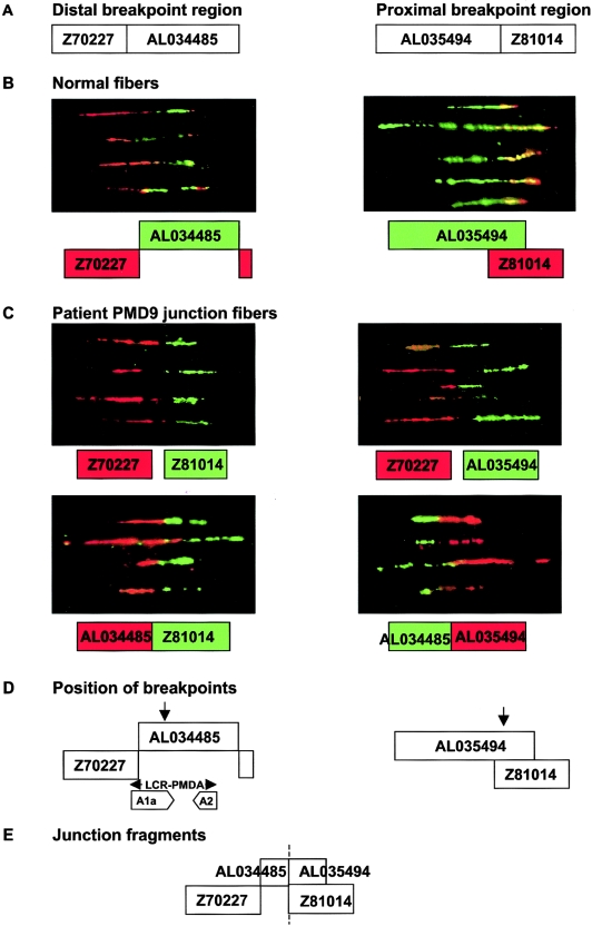 Figure  4