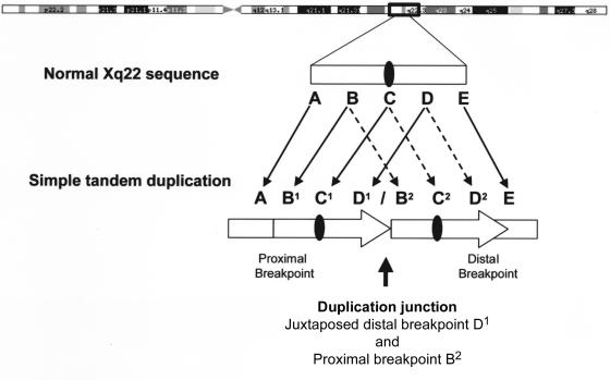 Figure  2