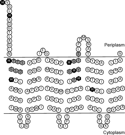 FIG. 5.