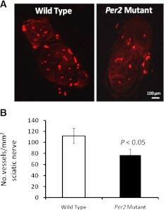 FIG. 8.