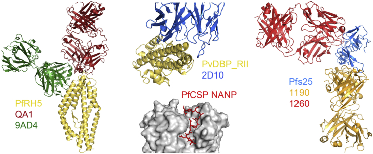 Figure 3