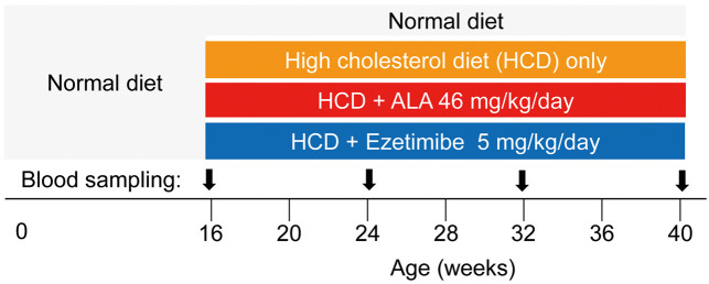 Figure 1.