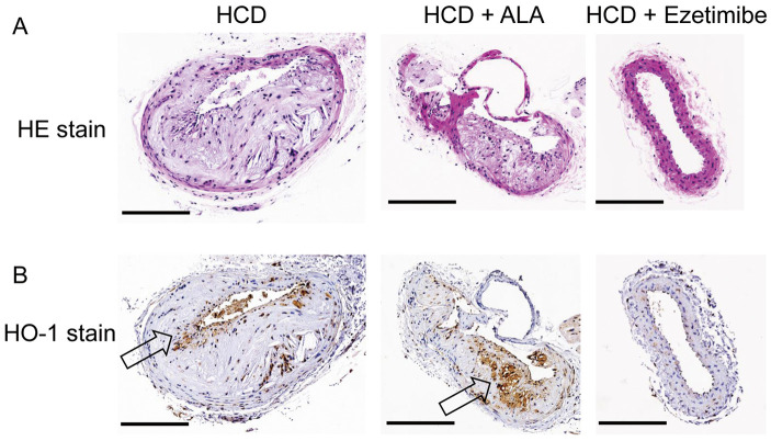 Figure 6.