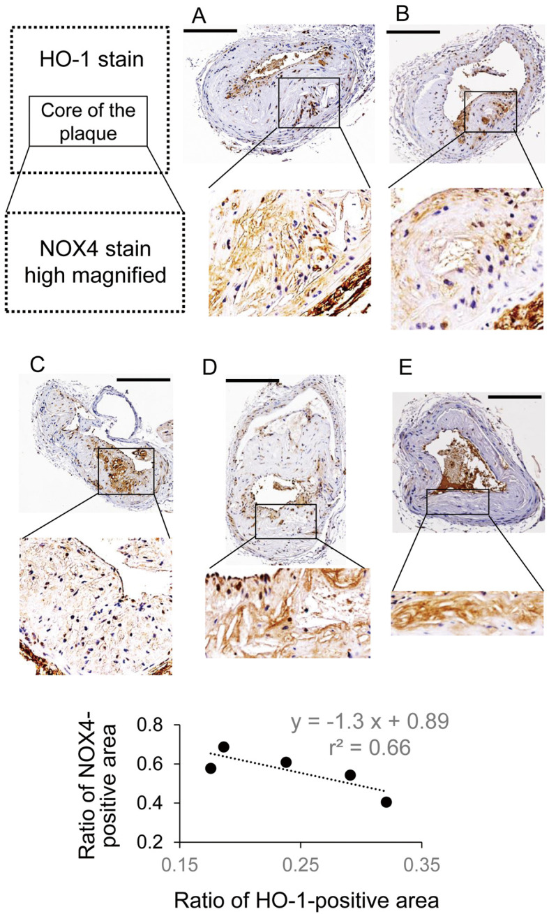 Figure 7.