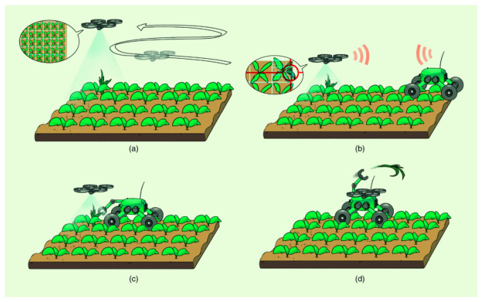 Figure 13