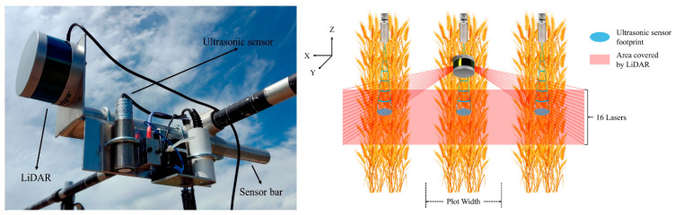 Figure 11