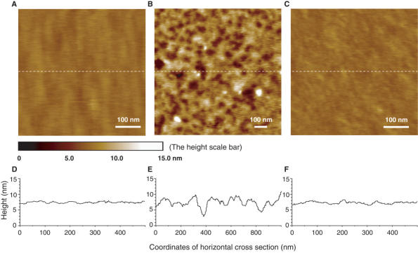 Figure 2.