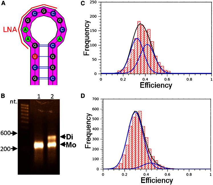 Figure 1