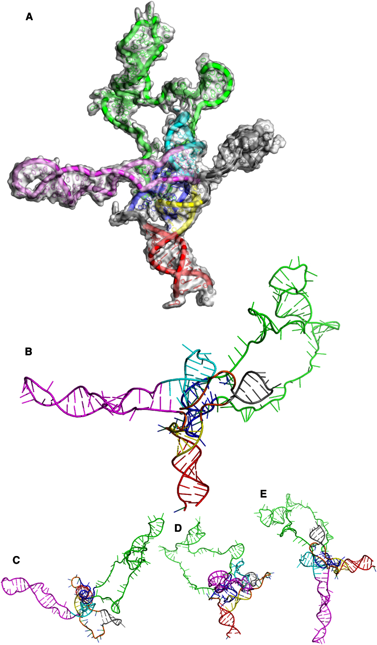 Figure 5