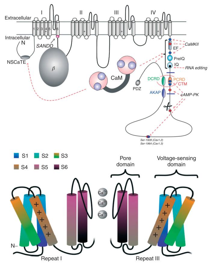 FIGURE 2