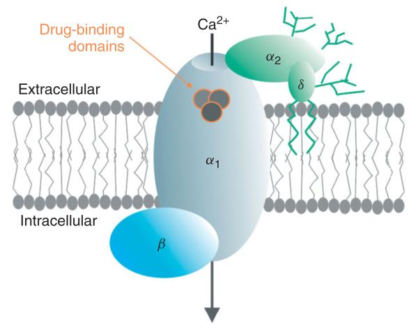 FIGURE 1