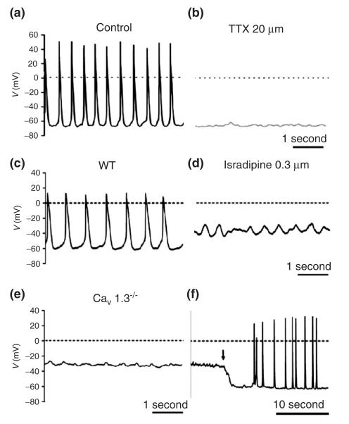 FIGURE 4