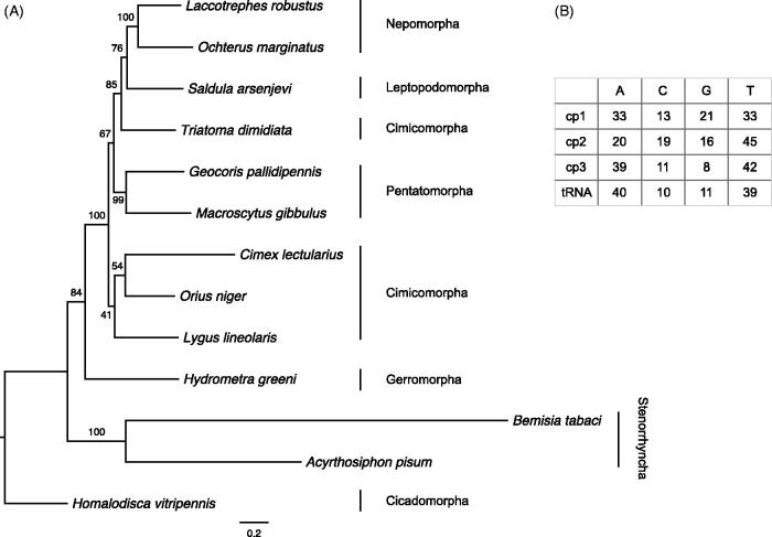 Figure 1.