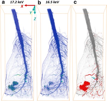 Fig. 3