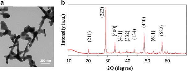 Fig. 1