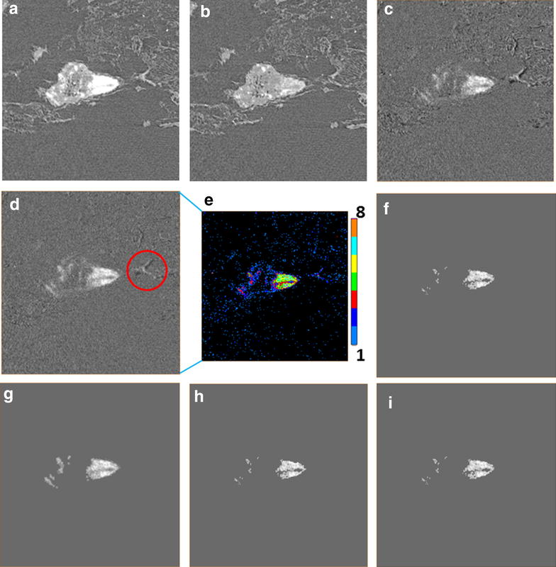 Fig. 8