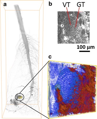 Fig. 4