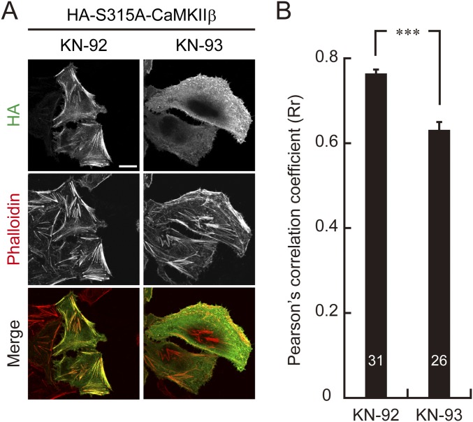 Fig. S6.