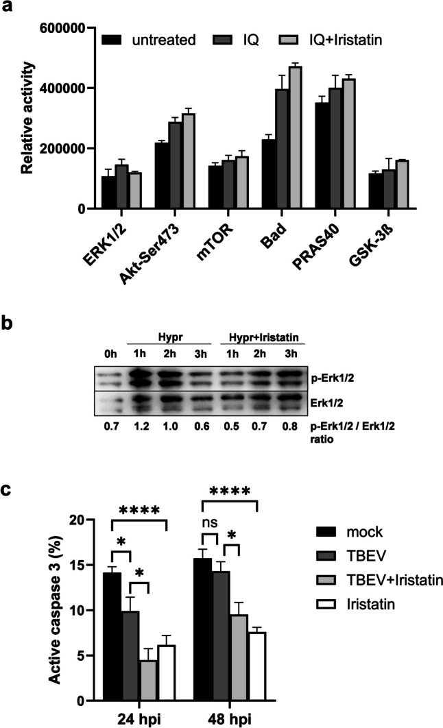 Fig. 4