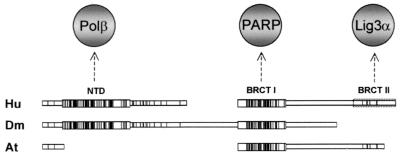 FIG. 7.