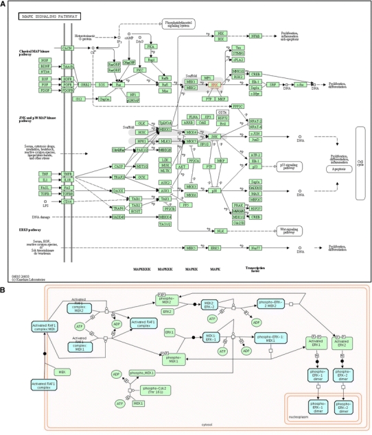 Fig. 4