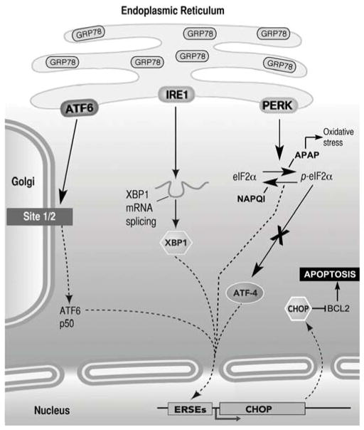 Fig. 10