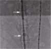 Fig. 3.