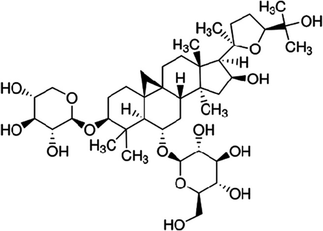 FIGURE 1