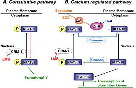 Figure 10.