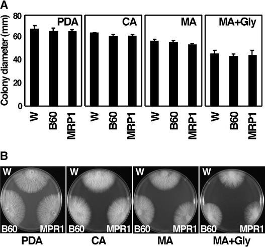 Figure 6.