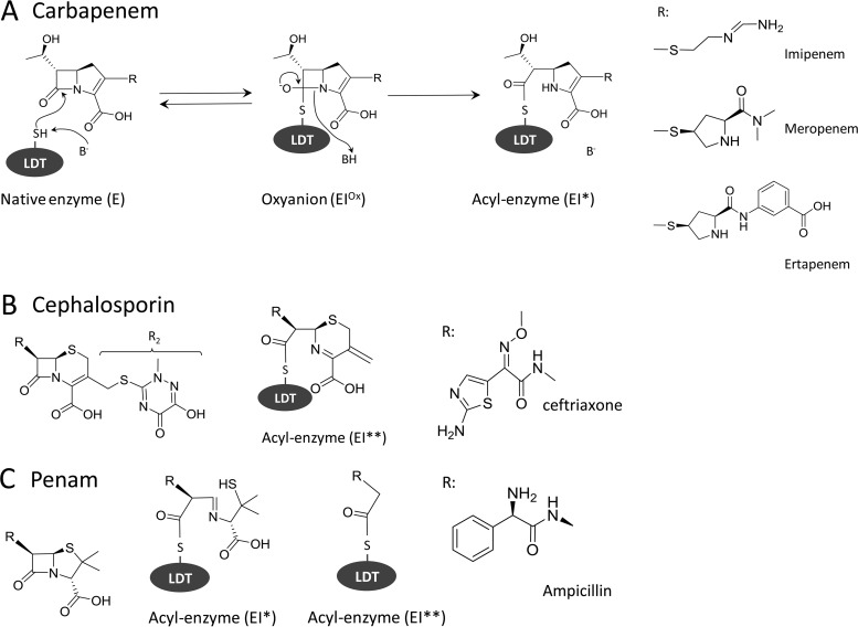 FIG 2