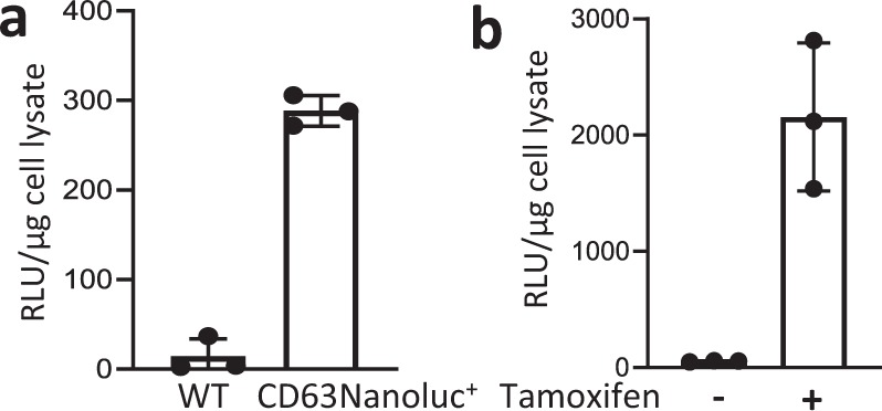 Fig. 5