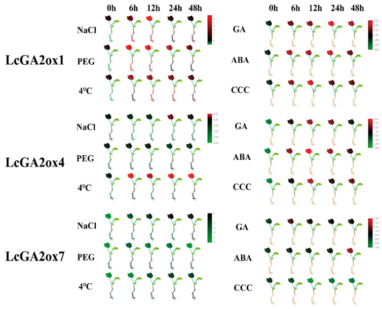 Figure 10