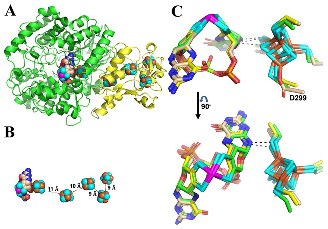 Fig. 1