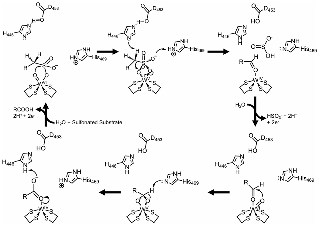 Fig. 7