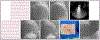 Fig. 4.