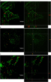 Figure 4.