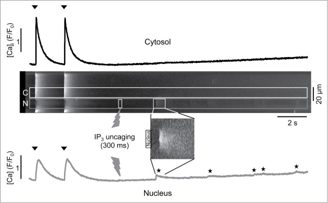 Figure 5.