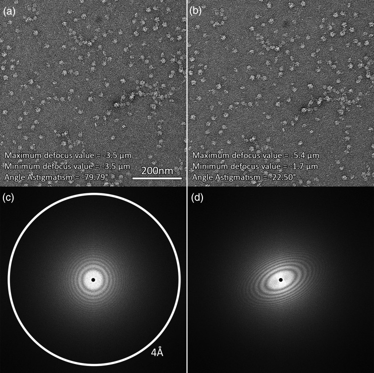 Fig. 2.