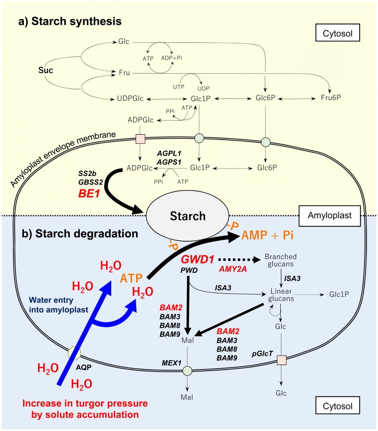 Fig 8