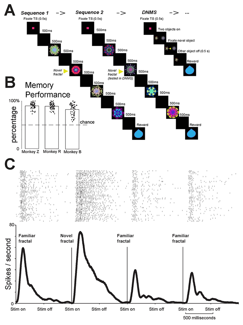 Figure 3 –