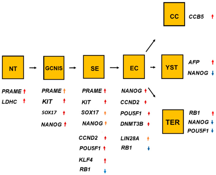 Figure 11